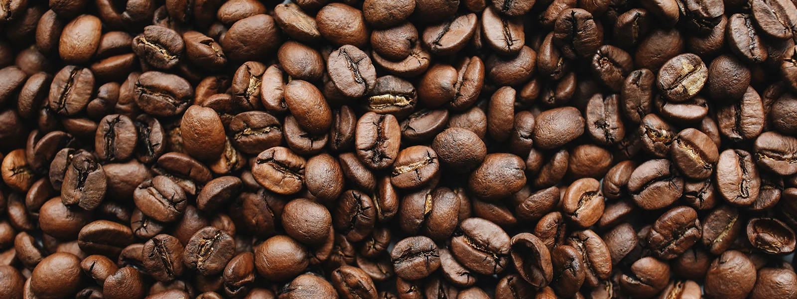 Coffee Beans for a French Press French Press Coffee Beans