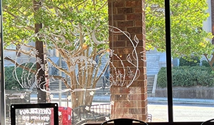 Coffeeology Front Window