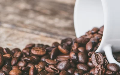 The Ultimate Coffee Showdown: Fresh Ground Whole Coffee Beans vs. Pre-Ground – Which is Better for Your Home Coffee Maker?