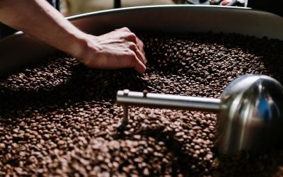 Understanding Coffee Roasting: Light, Medium, Dark, and Specialty Roasts